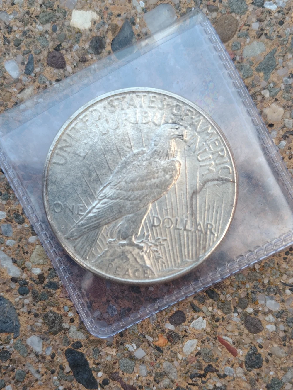 🇺🇸1923 Silver Peace Dollar🇺🇸